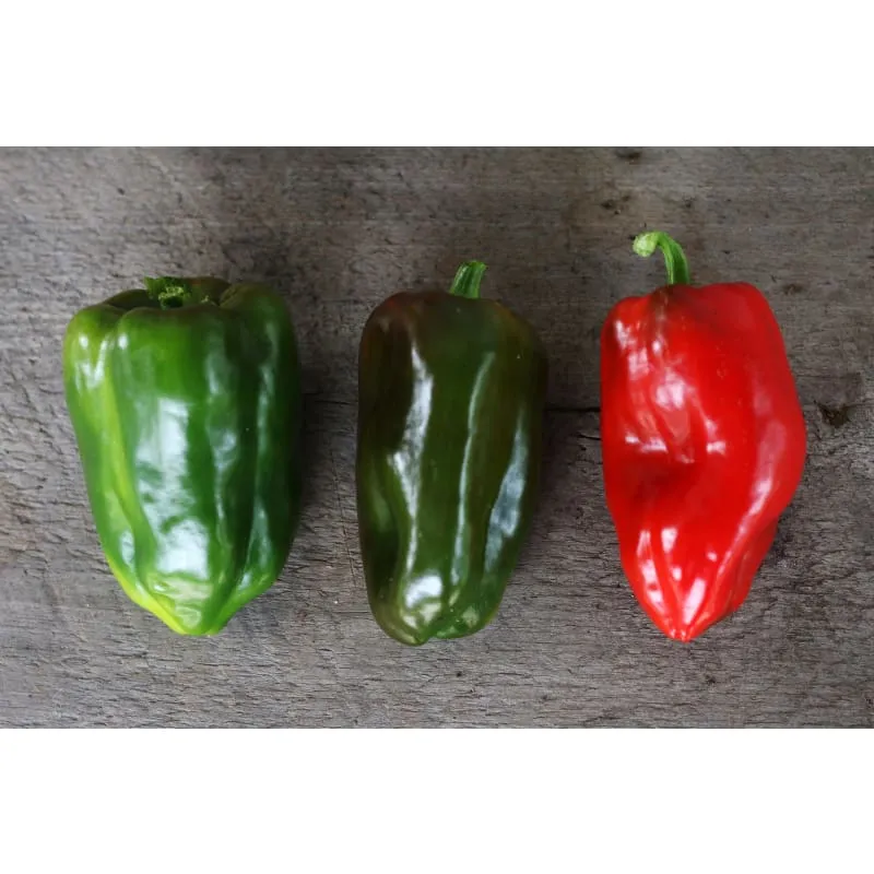Buran Pepper (Heirloom 90 Days)