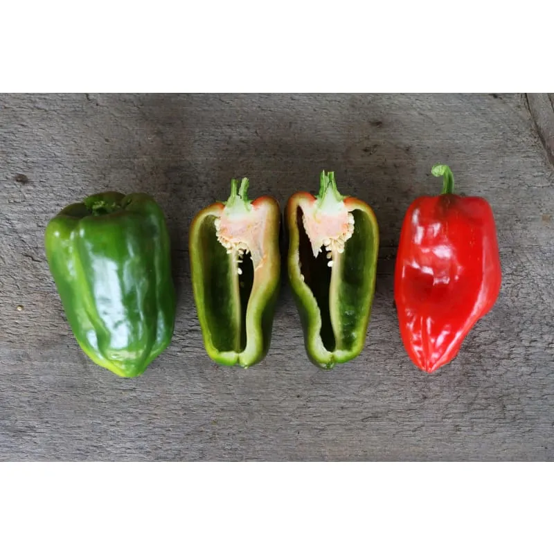 Buran Pepper (Heirloom 90 Days)